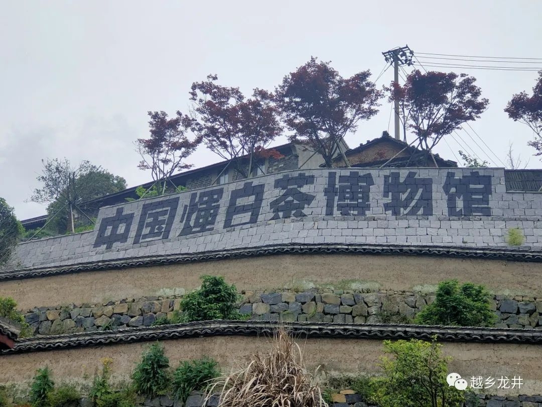 嵊州市前崗輝白茶文化旅游景區